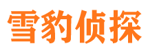 雷波侦探公司